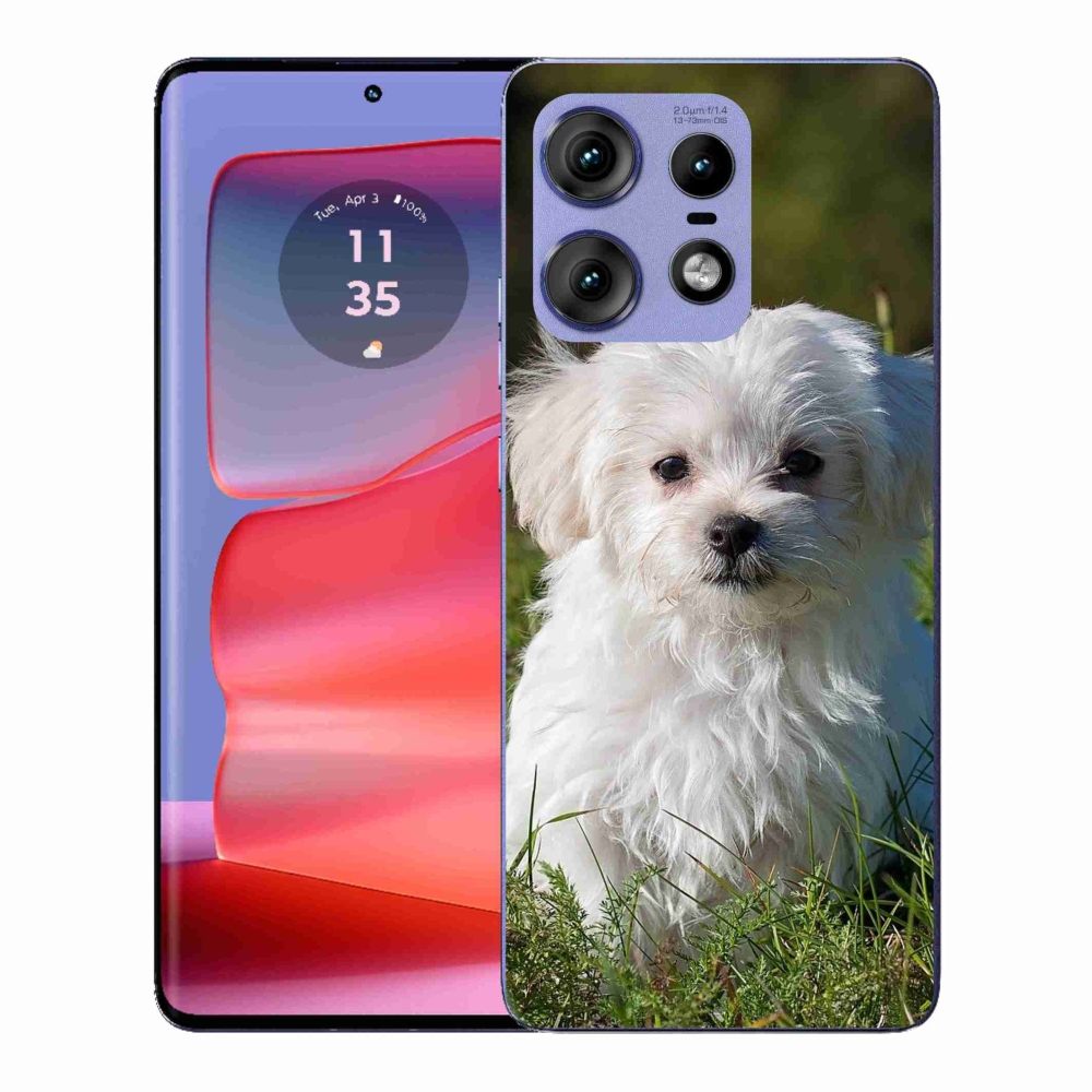 Zselés borítás mmCase a Motorola Edge 50 Pro készülékhez - bichon
