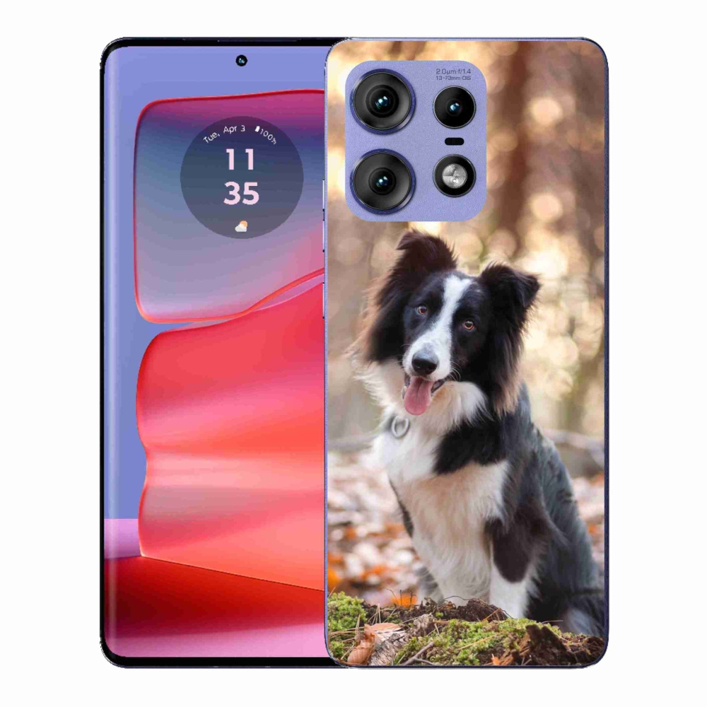 Zselés borító mmCase a Motorola Edge 50 Pro készülékhez - border colie 1