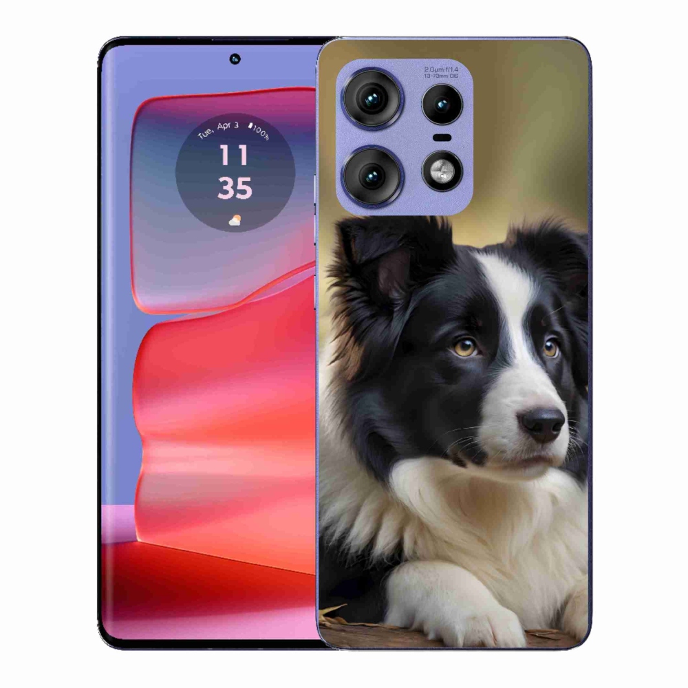 Zselés borító mmCase a Motorola Edge 50 Pro készülékhez - border colie 2