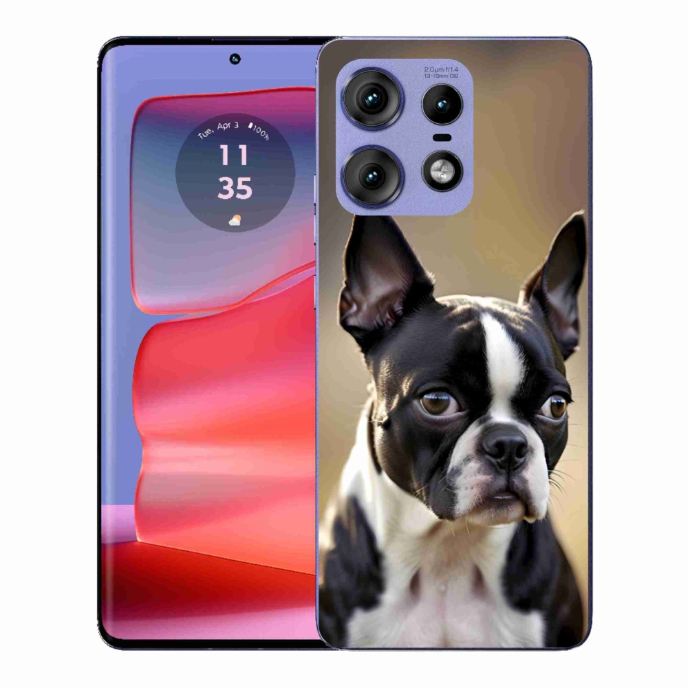 Zselés borítás mmCase a Motorola Edge 50 Pro készülékhez - Boston Terrier