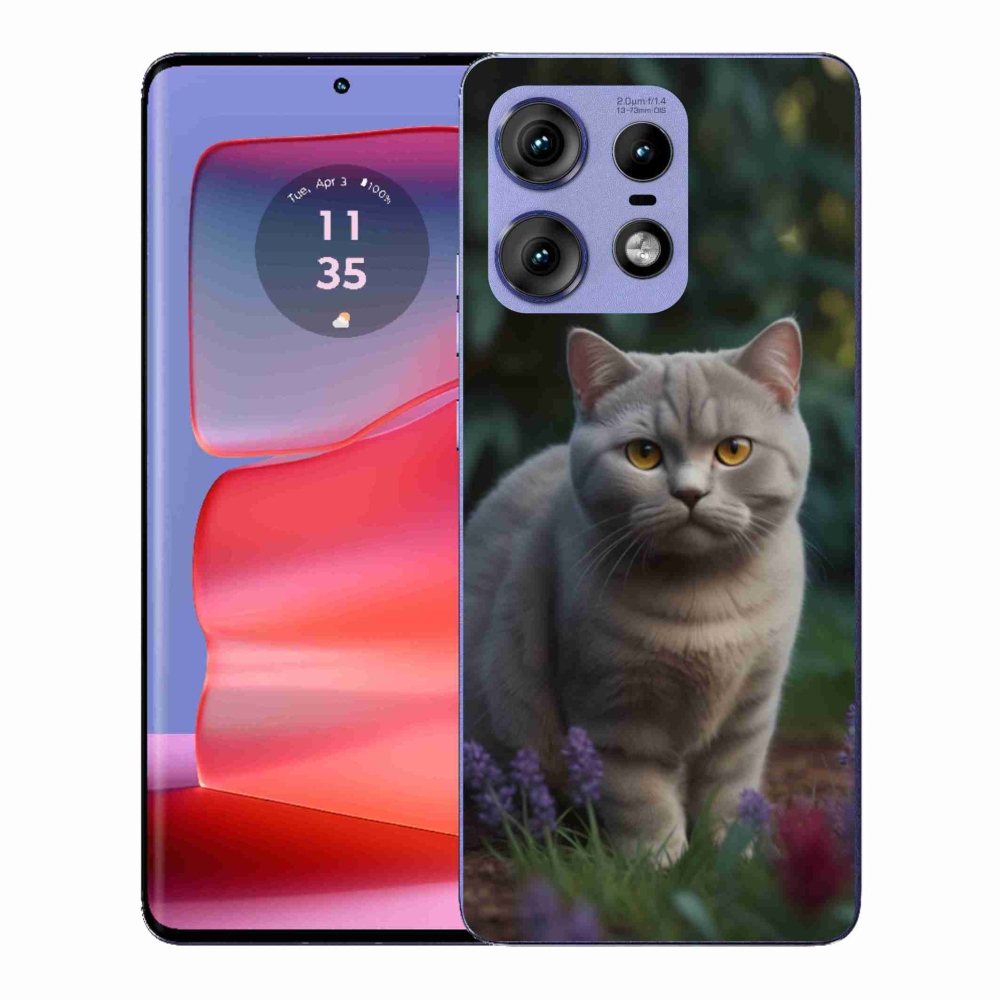 Zselés borítás mmCase a Motorola Edge 50 Pro készülékhez - brit macska