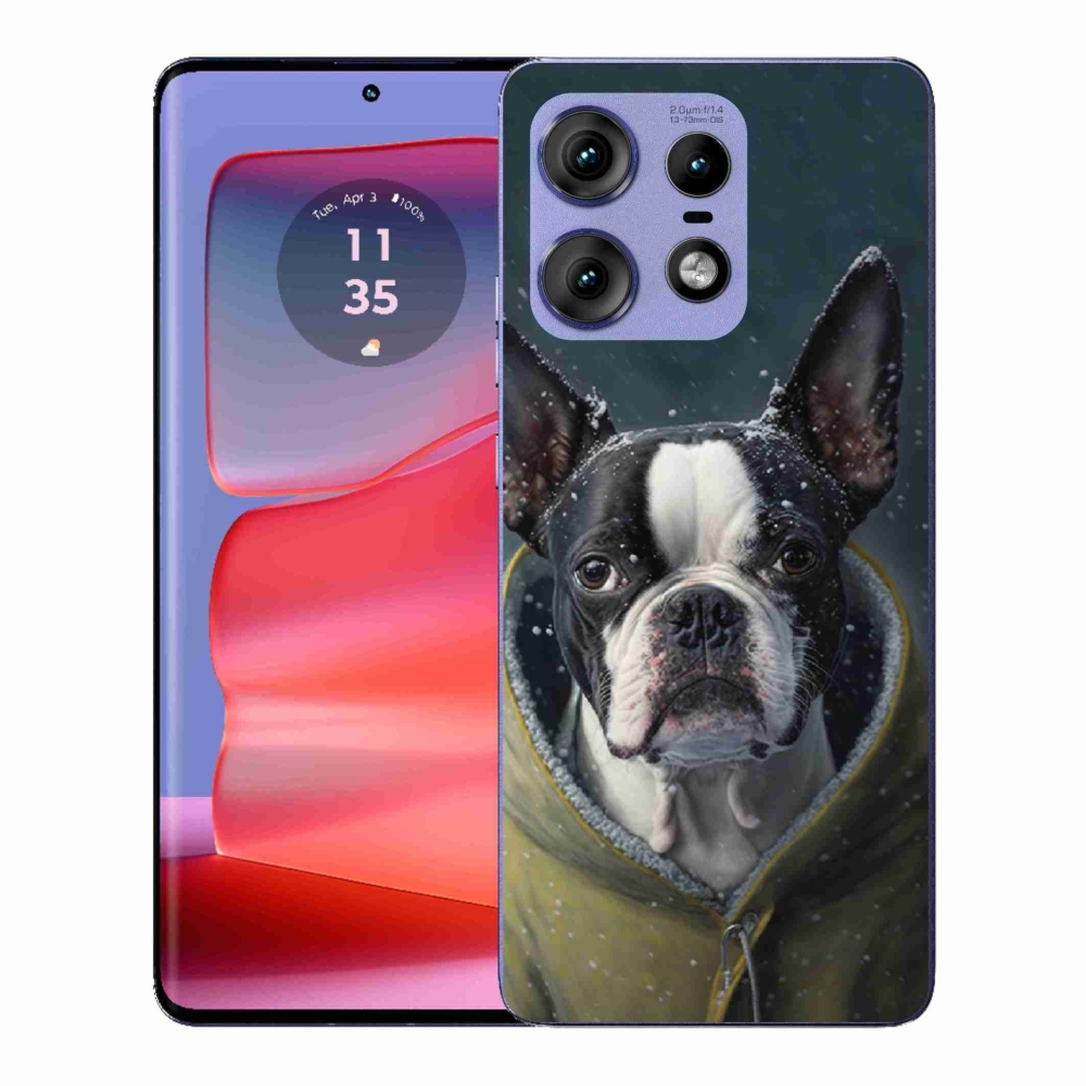 Zselés borítás mmCase a Motorola Edge 50 Pro készülékhez - bulldog