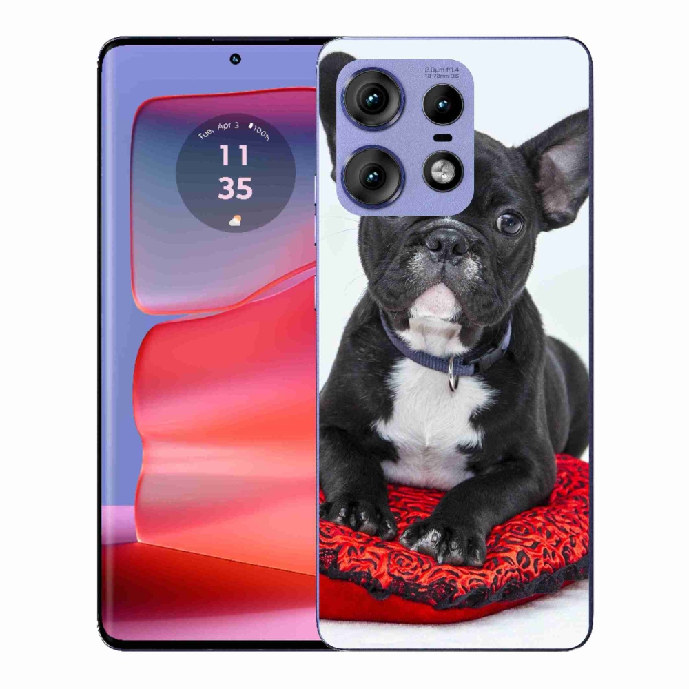 Zselés borítás mmCase a Motorola Edge 50 Pro készülékhez - bulldog
