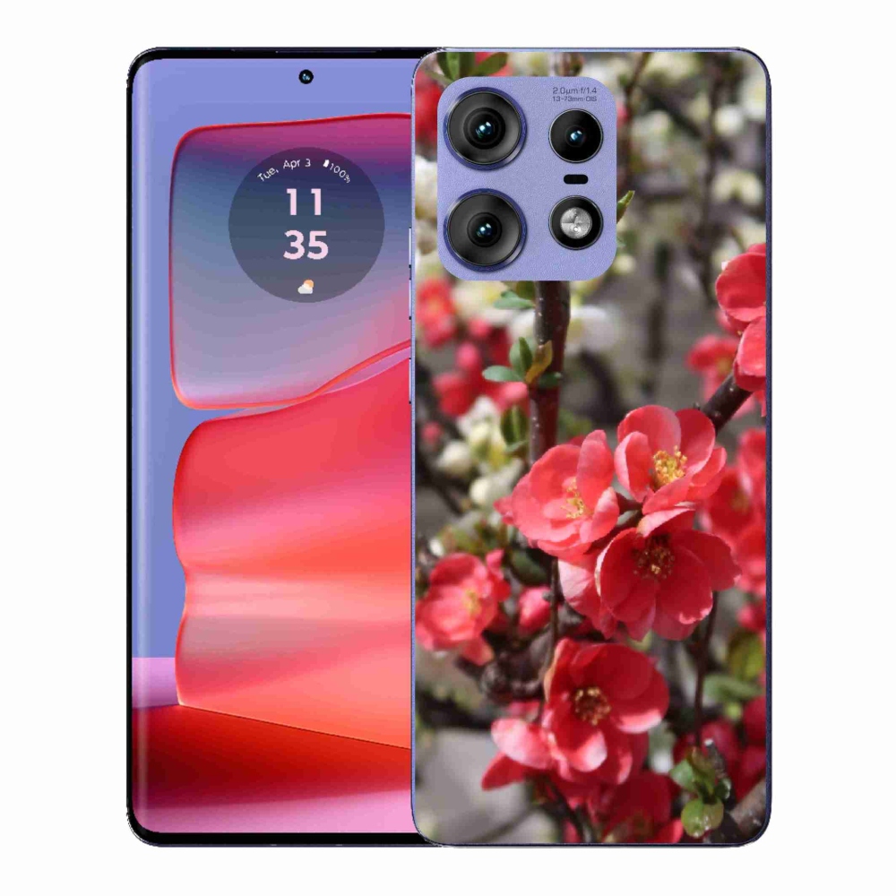 Zselés borítás mmCase a Motorola Edge 50 Pro készülékhez - piros virágok