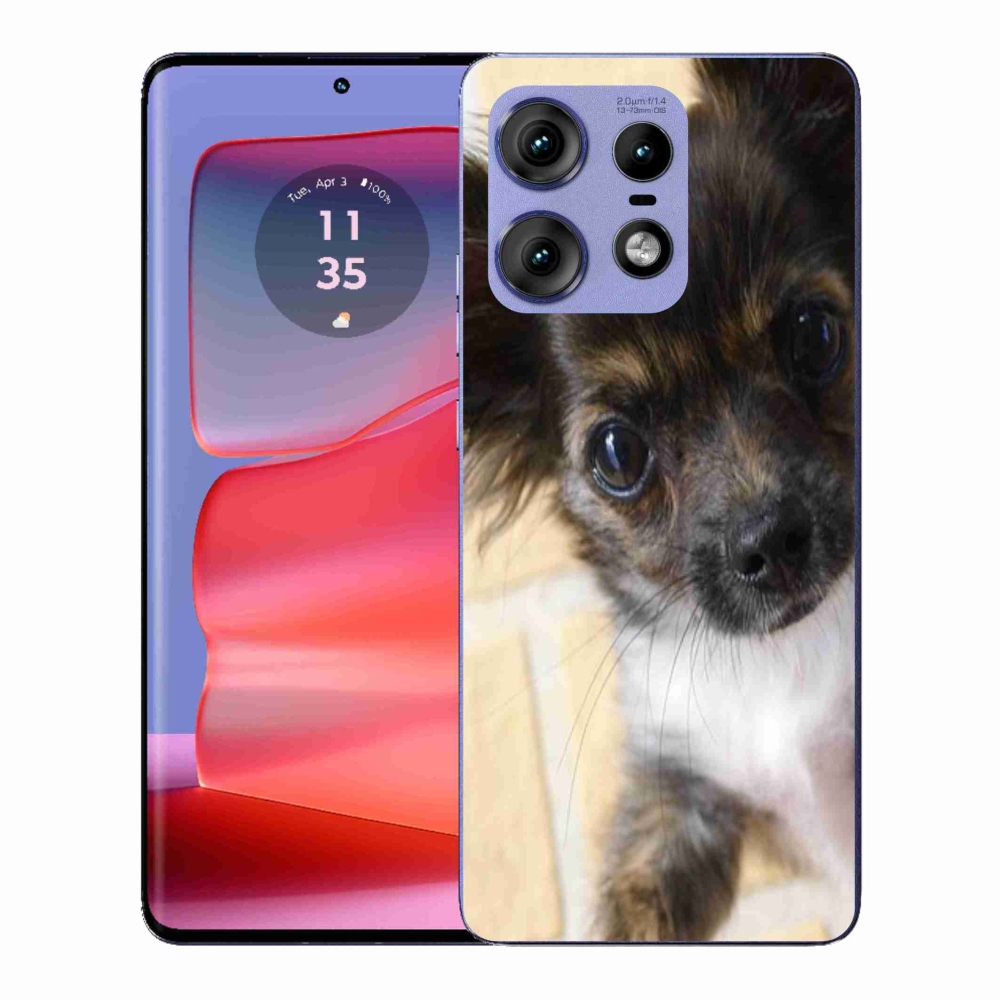 Zselés borítás mmCase a Motorola Edge 50 Pro készülékhez - chihuahua 2