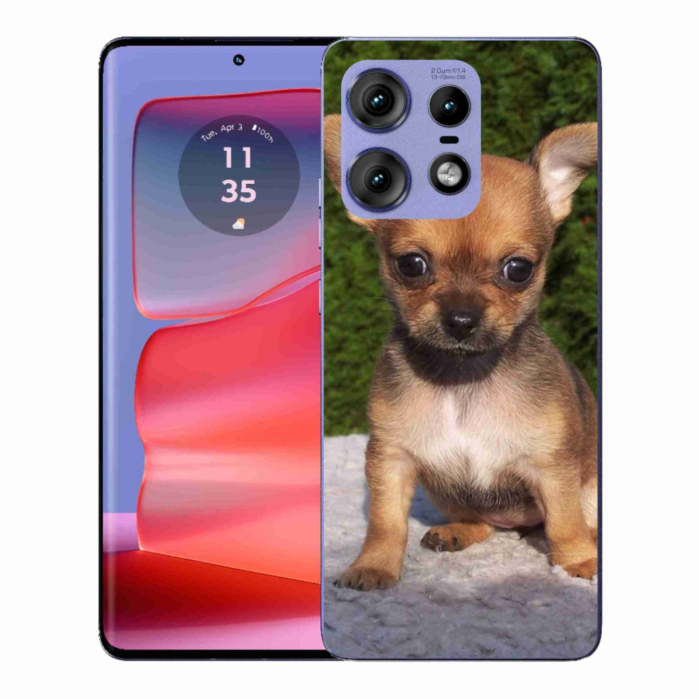Zselés borítás mmCase a Motorola Edge 50 Pro készülékhez - chihuahua 3