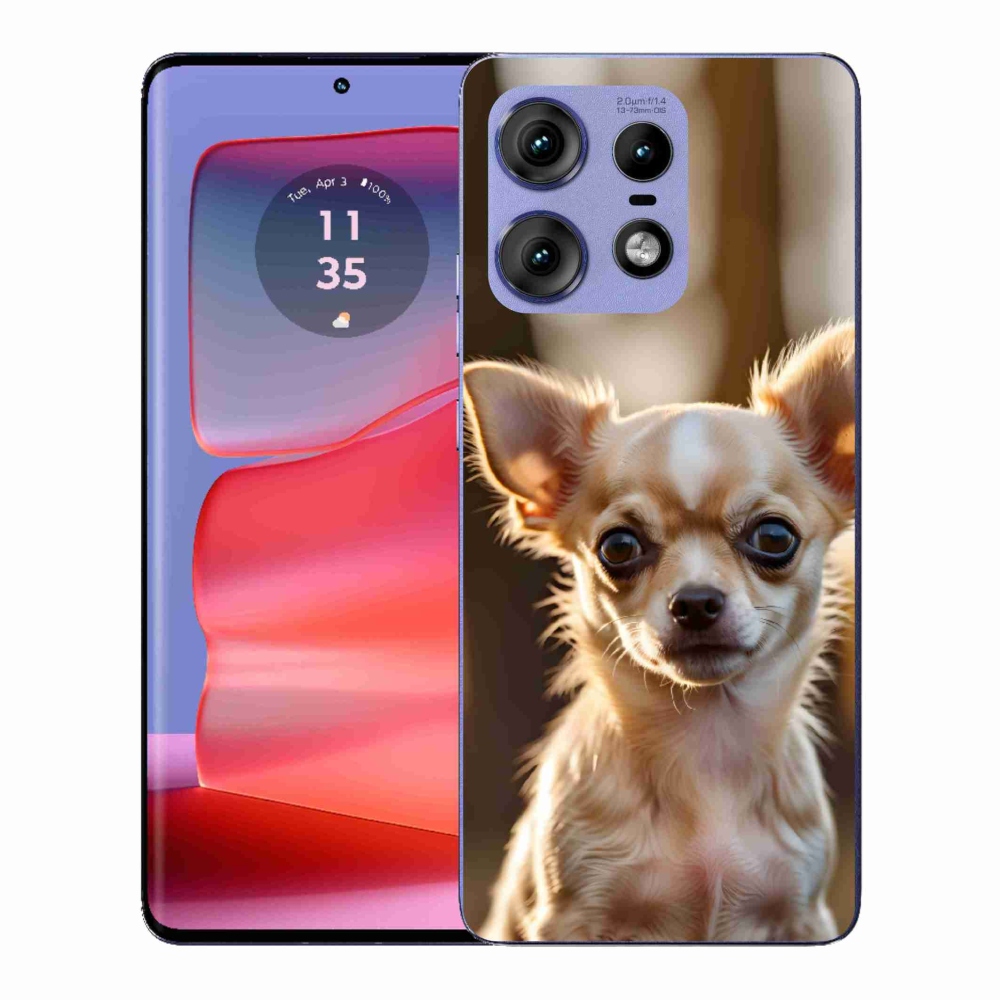 Zselés borítás mmCase a Motorola Edge 50 Pro készülékhez - chihuahua 6