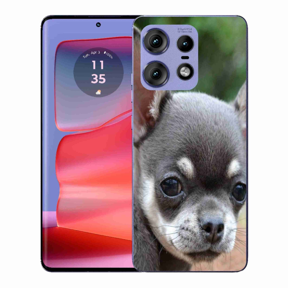 Zselés borító mmCase a Motorola Edge 50 Pro készülékhez - chihuahua