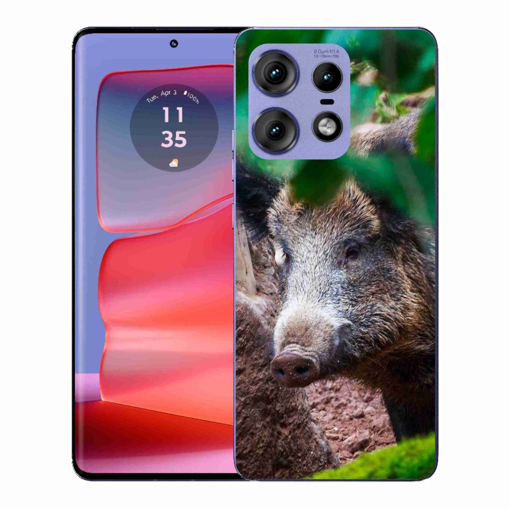 Zselés borítás mmCase a Motorola Edge 50 Pro készülékhez - vaddisznó
