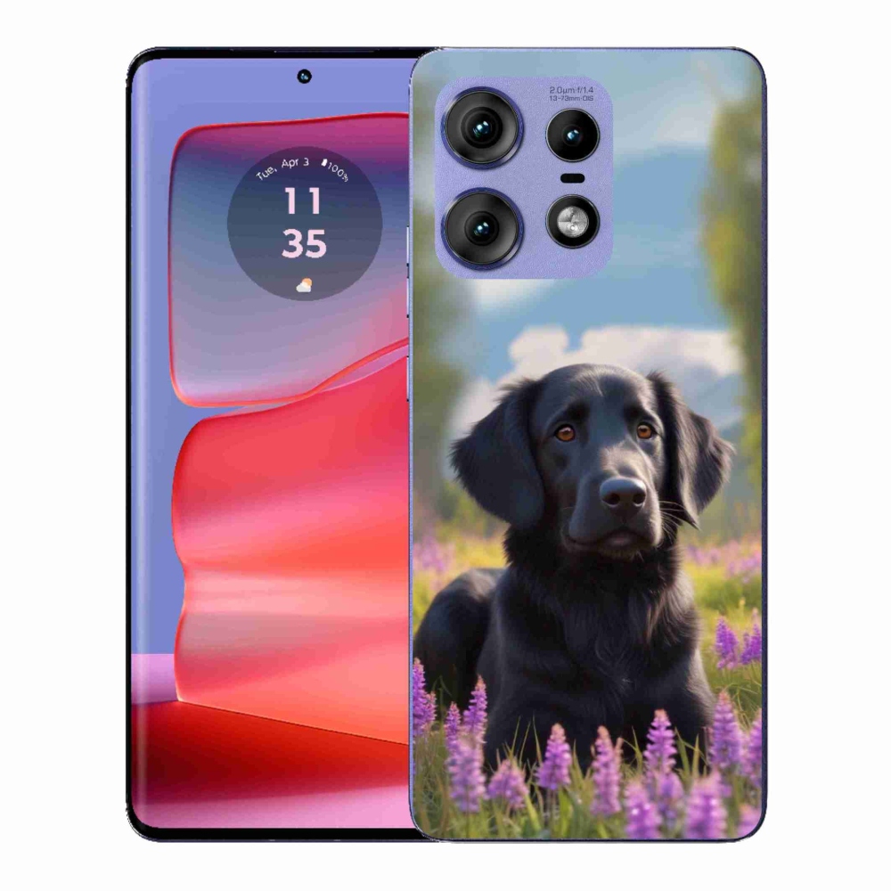Zselés borítás mmCase a Motorola Edge 50 Pro készülékhez - elegáns fekete retriever