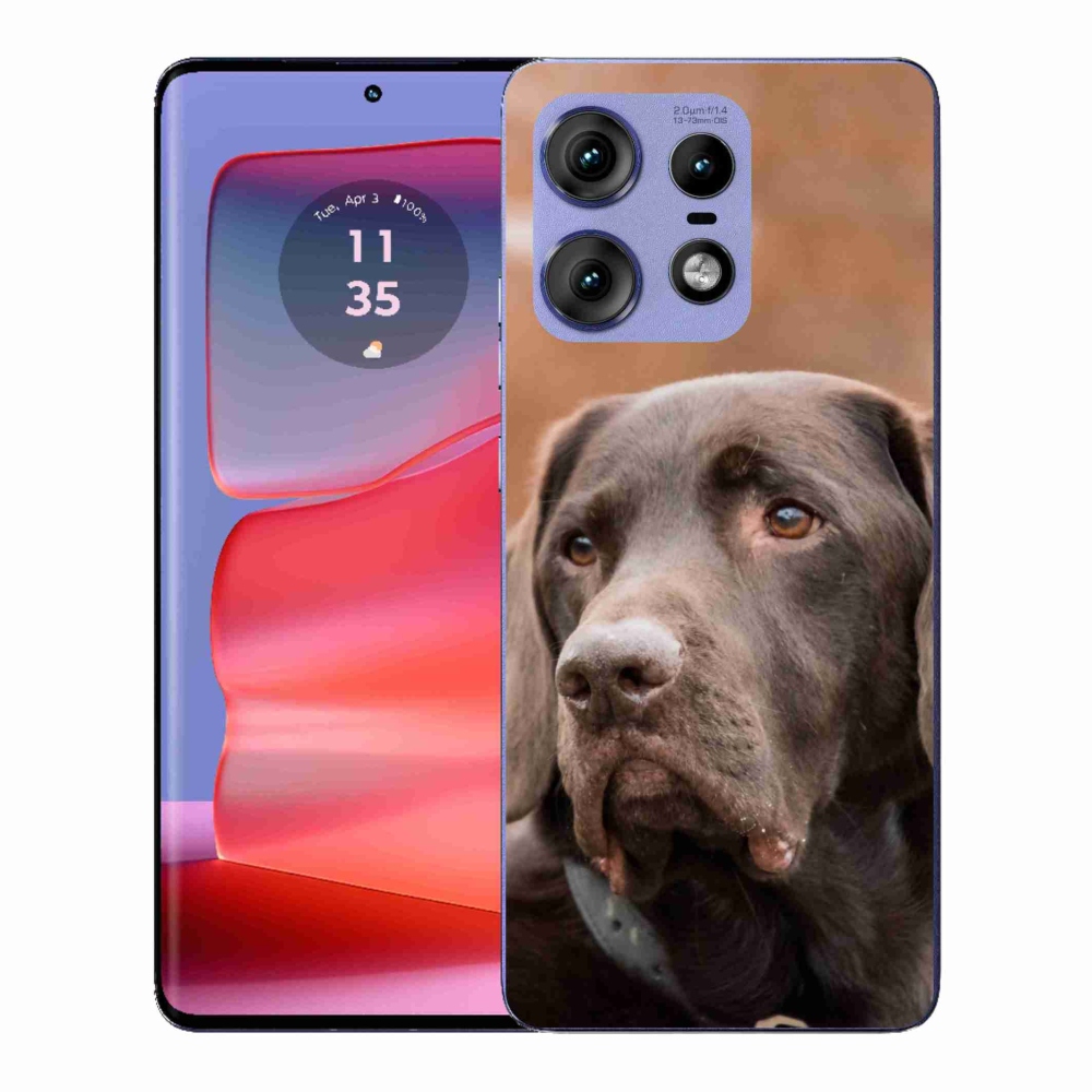 Zselés tok mmCase a Motorola Edge 50 Pro készülékhez - barna labrador színű