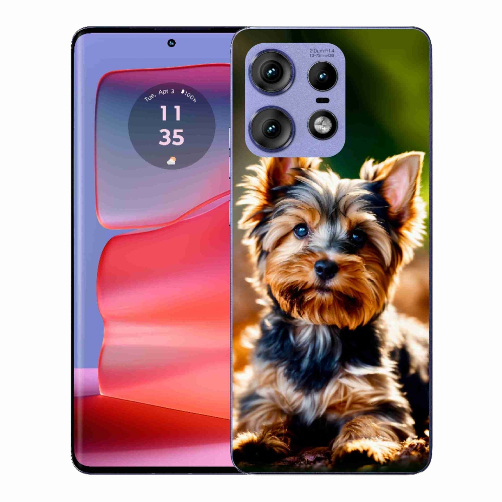 Zselés borítás mmCase a Motorola Edge 50 Pro készülékhez - Yorkshire 10