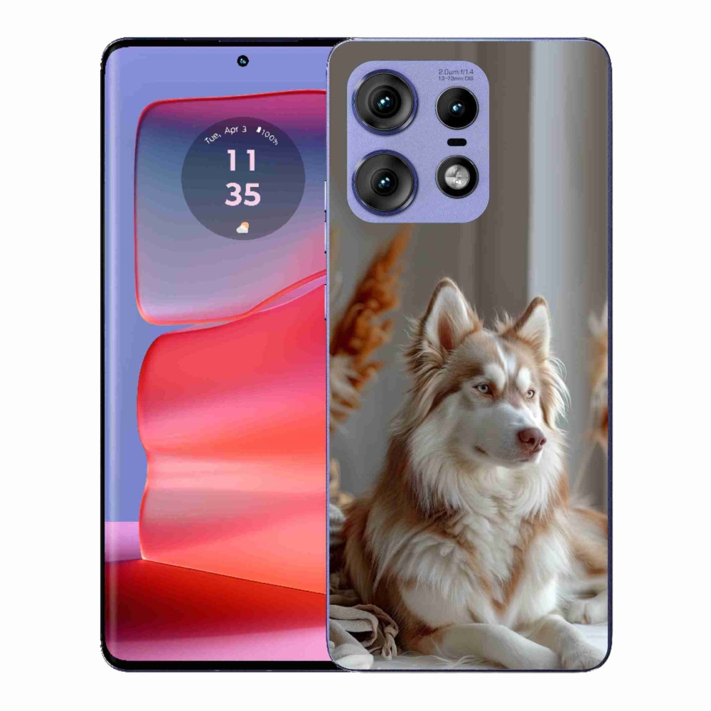 Zselés borítás mmCase a Motorola Edge 50 Pro készülékhez - csendes szibériai husky