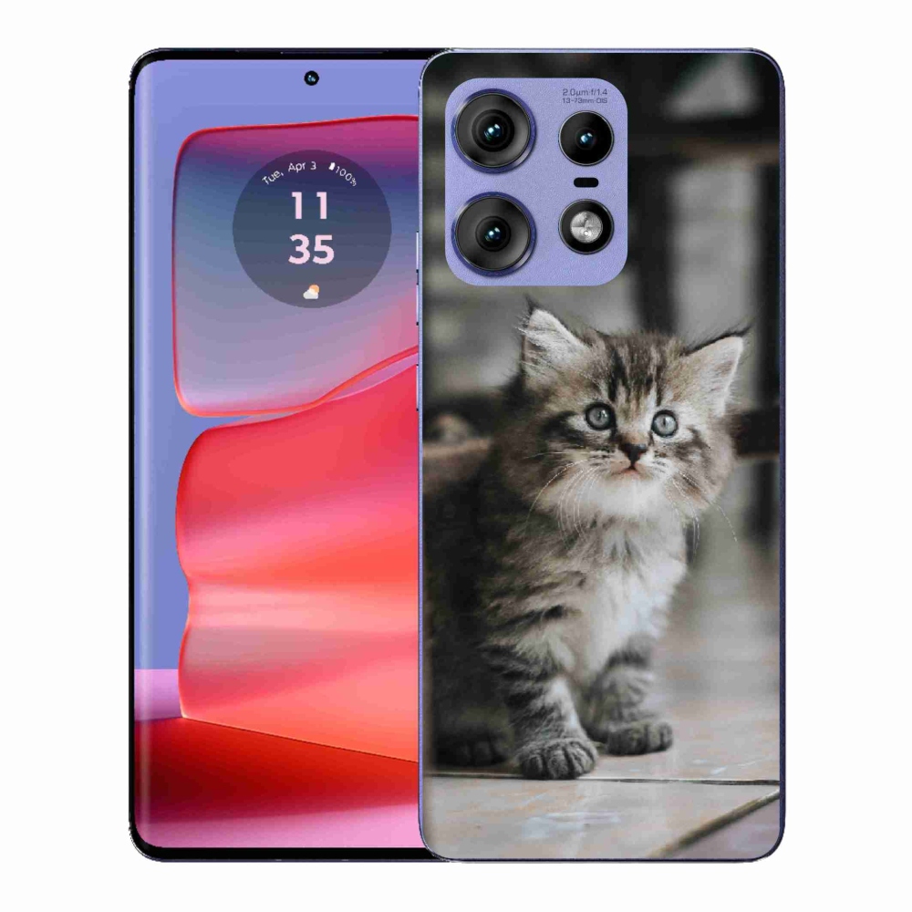 Zselés borítás mmCase a Motorola Edge 50 Pro készülékhez - cica