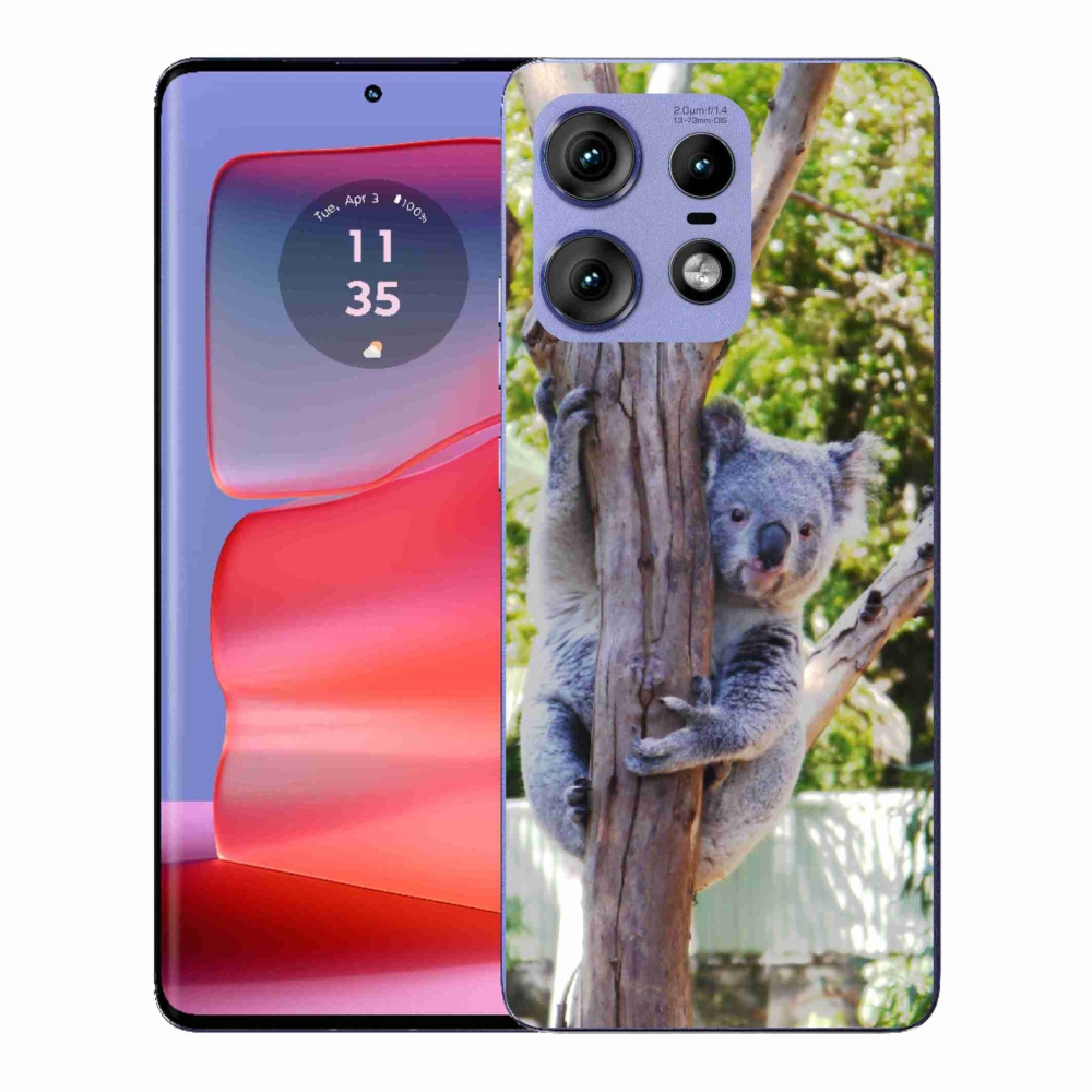 Zselés borítás mmCase a Motorola Edge 50 Pro készülékhez - koala
