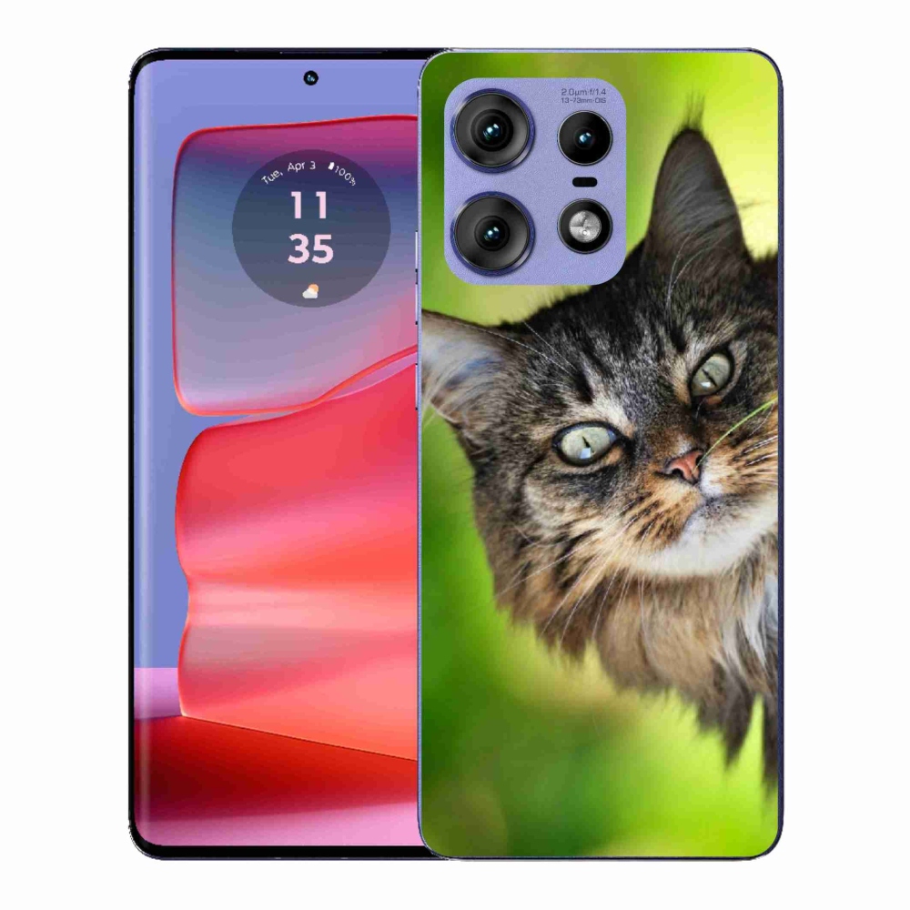 Zselés borítás mmCase a Motorola Edge 50 Pro készülékhez - cat 3