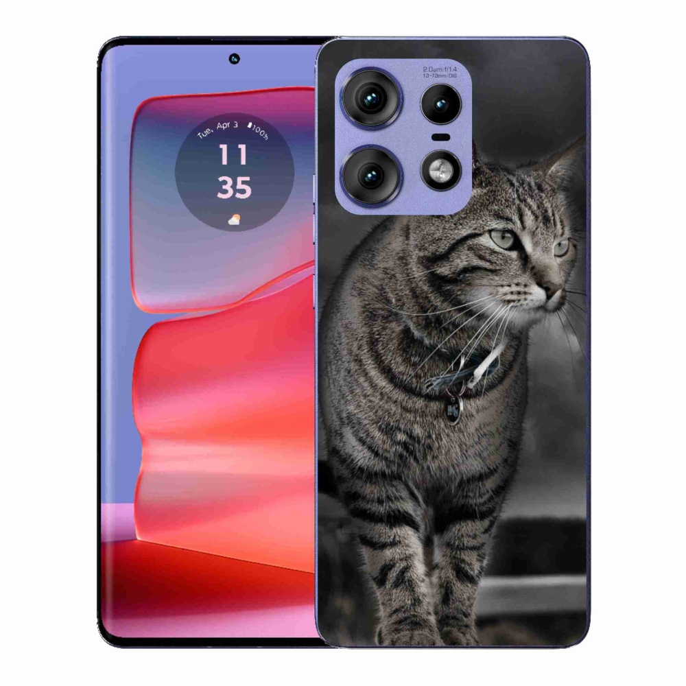 Zselés borítás mmCase a Motorola Edge 50 Pro készülékhez - macska