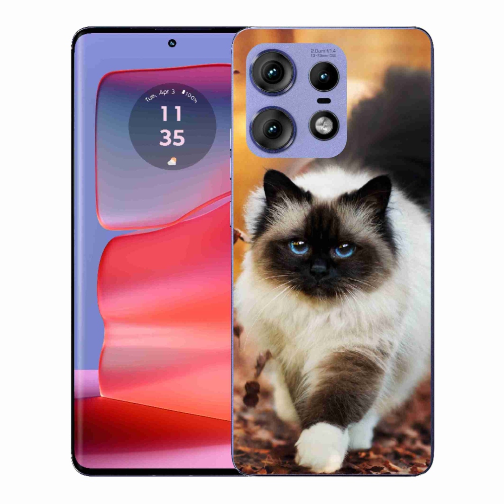 Zselés borítás mmCase a Motorola Edge 50 Pro készülékhez - macska