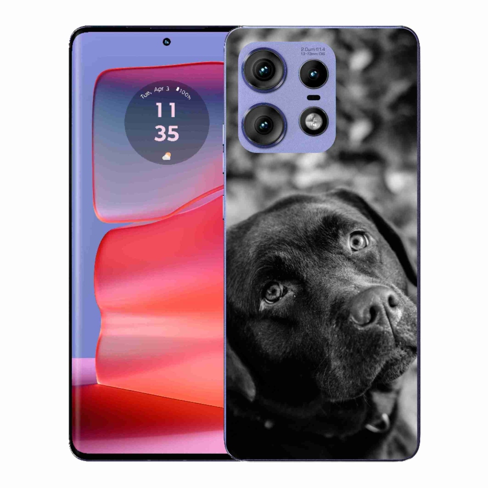 Zselés borítás mmCase a Motorola Edge 50 Pro készülékhez - labrador