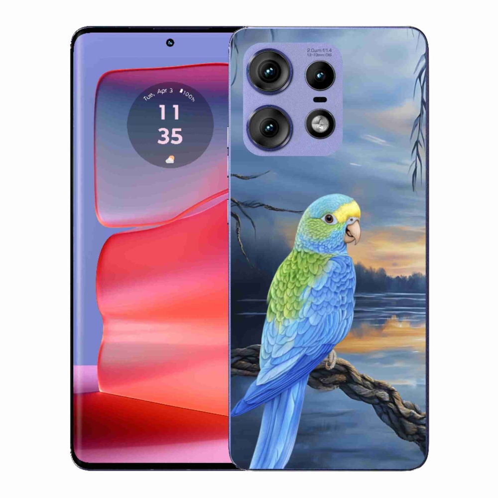 Zselés borítás mmCase a Motorola Edge 50 Pro készülékhez - kék papagáj