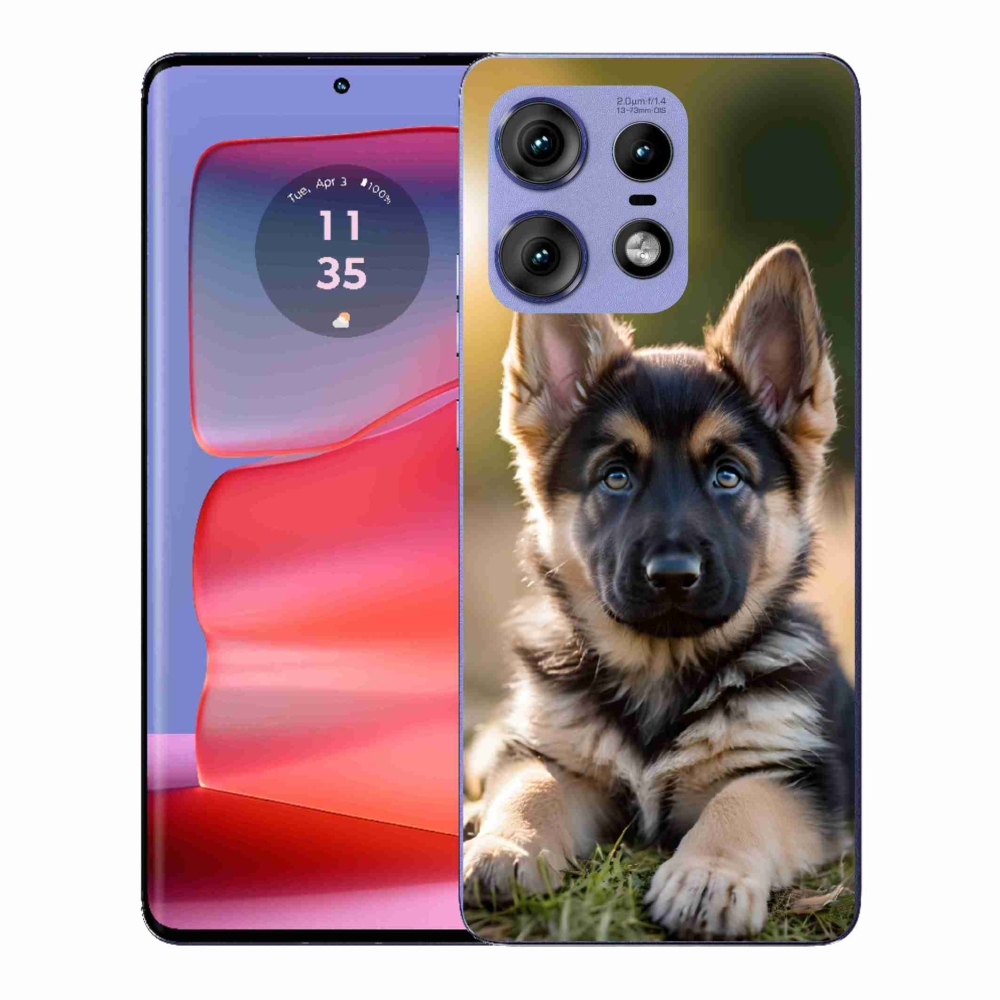 Zselés borítás mmCase a Motorola Edge 50 Pro készülékhez - Német juhászkutya a természetben