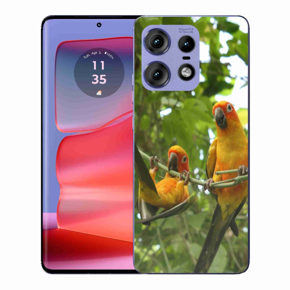Zselés borítás mmCase a Motorola Edge 50 Pro készülékhez - papagájok aratingy