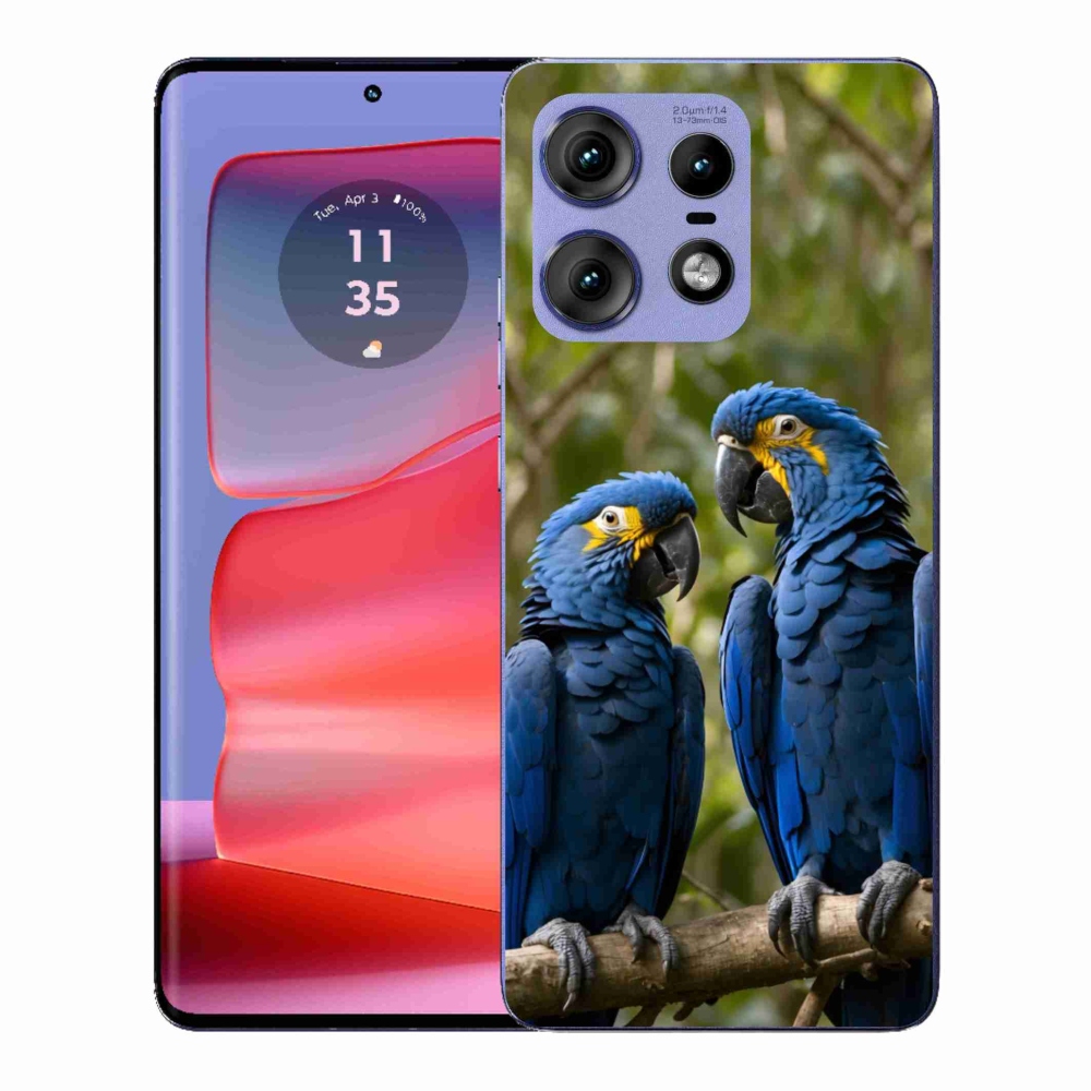 Zselés borítás mmCase a Motorola Edge 50 Pro készülékhez - papagáj duo