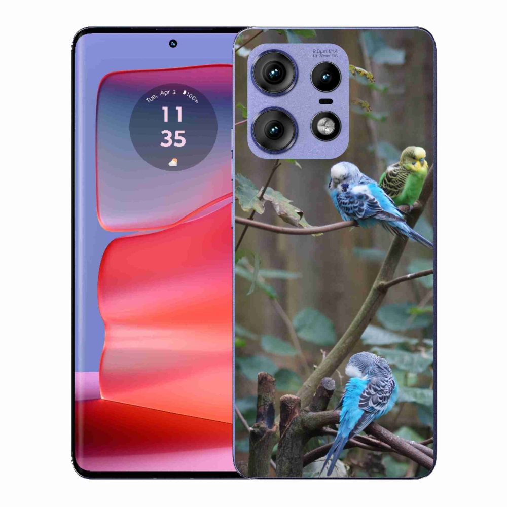 Zselés borítás mmCase a Motorola Edge 50 Pro készülékhez - papagájok az ágon