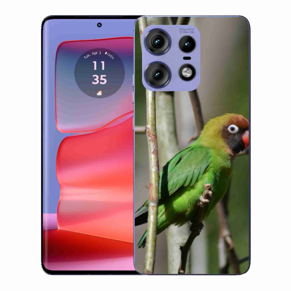 Zselés borítás mmCase a Motorola Edge 50 Pro számára - papagáj agapornis