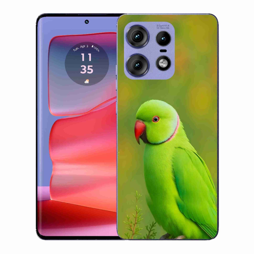 Zselés borítás mmCase a Motorola Edge 50 Pro készülékhez - parrot alexander 2