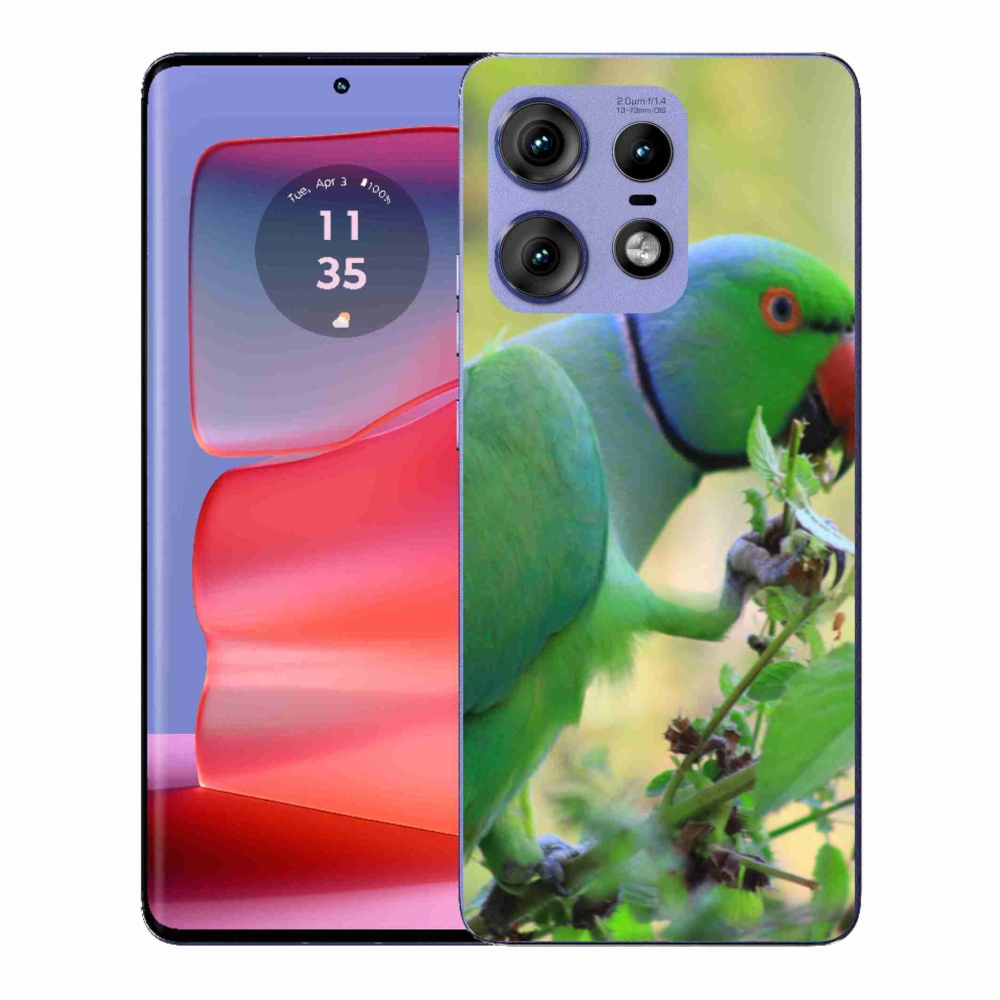 Zselés borítás mmCase a Motorola Edge 50 Pro készülékhez - parrot alexandr