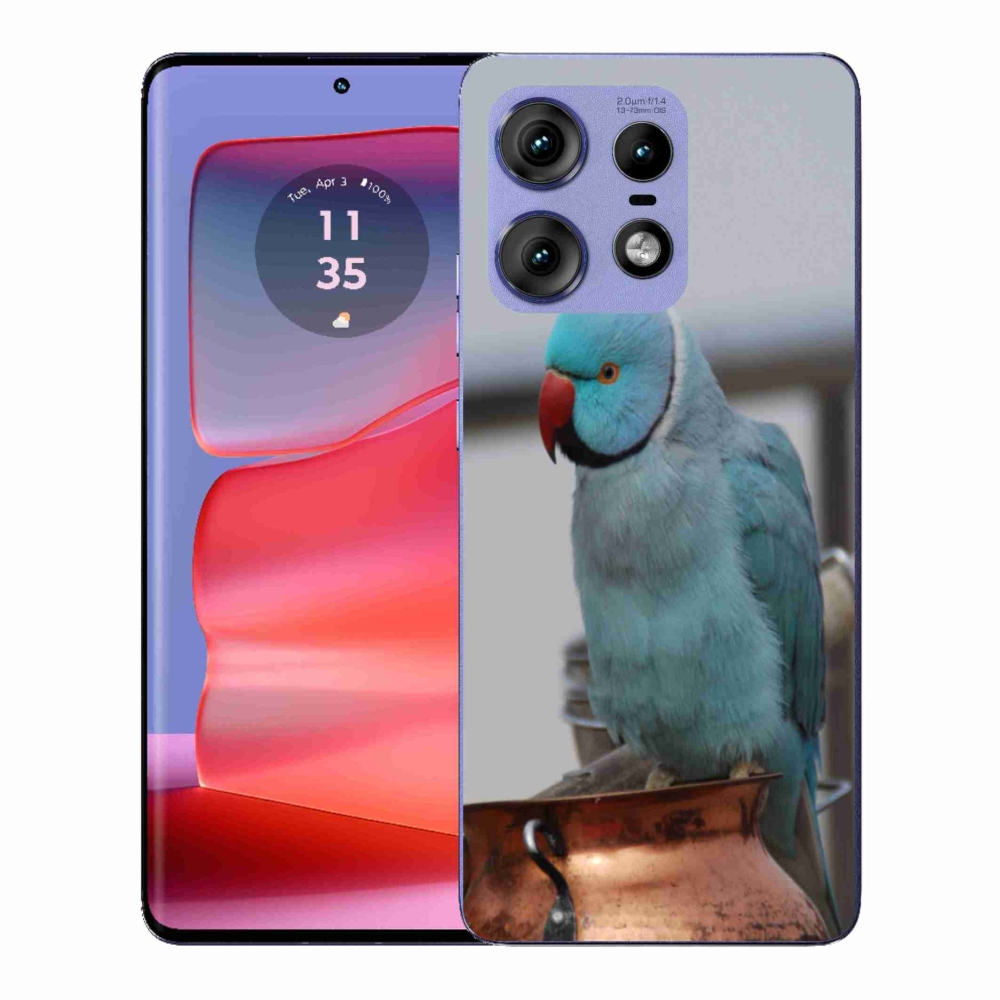 Zselés borítás mmCase a Motorola Edge 50 Pro készülékhez - papagáj alexander kék