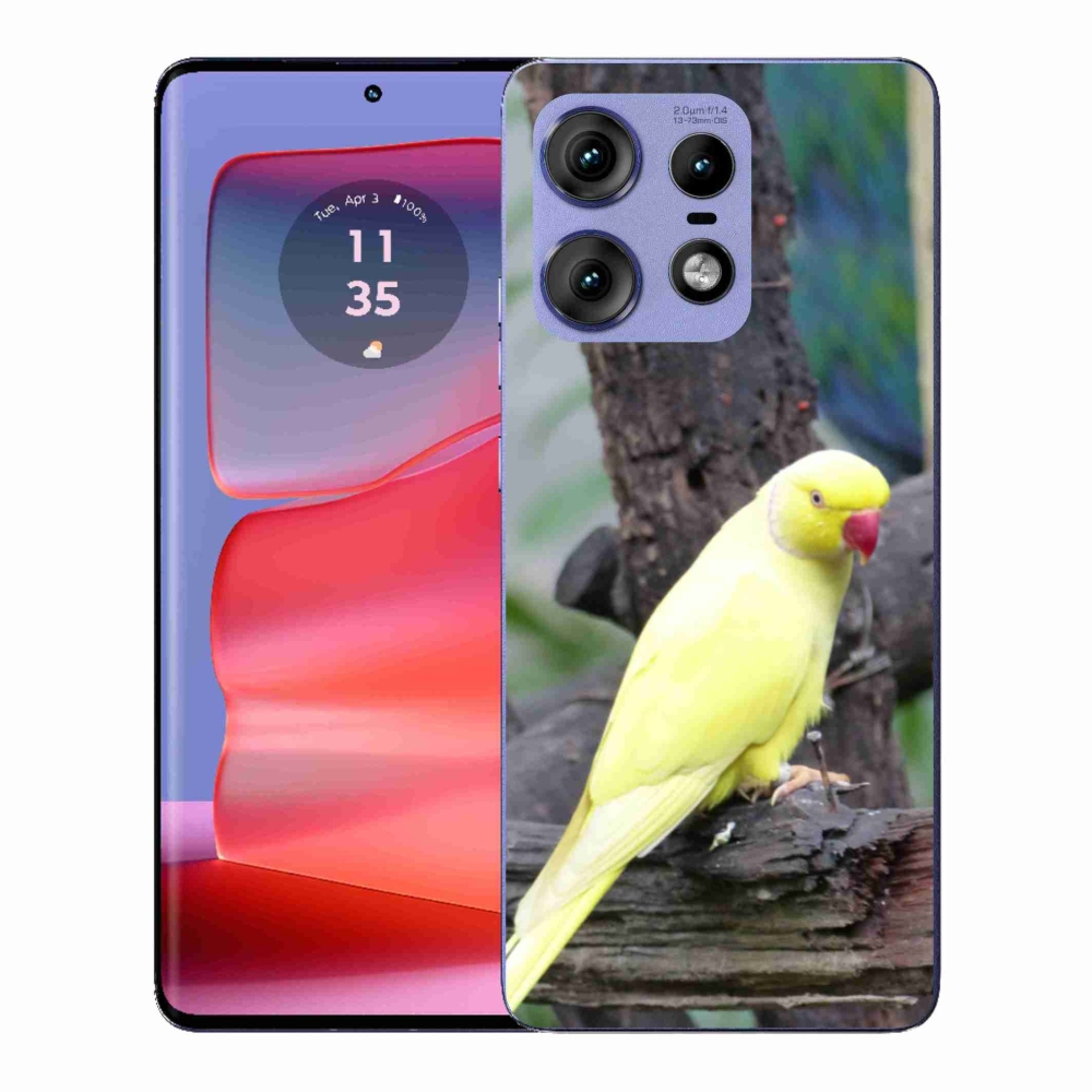 Zselés borítás mmCase Motorola Edge 50 Pro készülékhez - papagáj alexander sárga