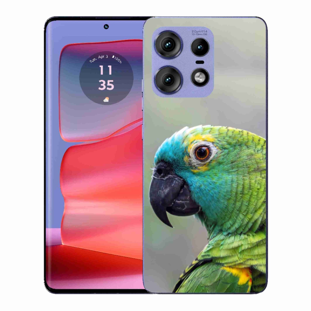 Zselés borítás mmCase a Motorola Edge 50 Pro készülékhez - papagáj amazon