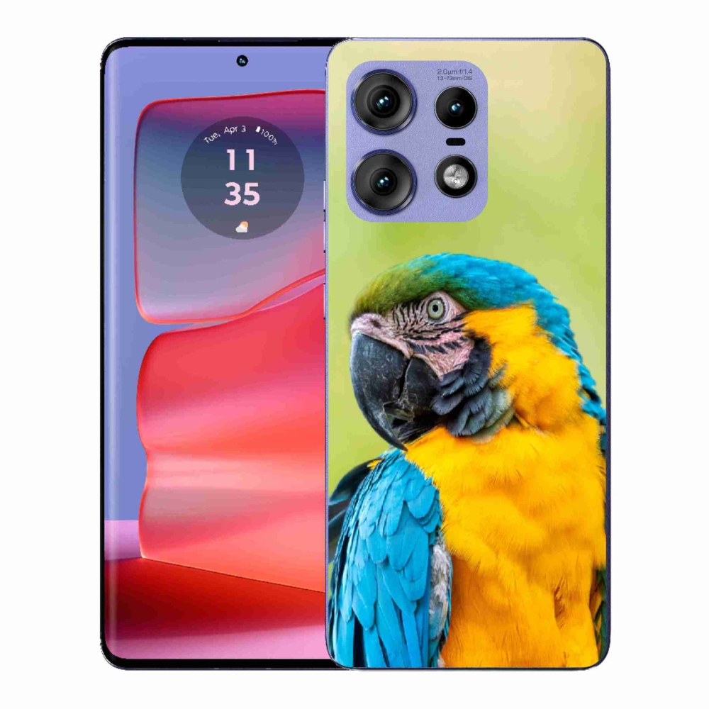 Zselés borítás mmCase a Motorola Edge 50 Pro készülékhez - papagáj ara 2