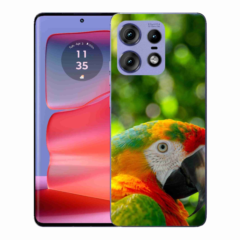 Zselés borítás mmCase a Motorola Edge 50 Pro készülékhez - papagáj ara 3