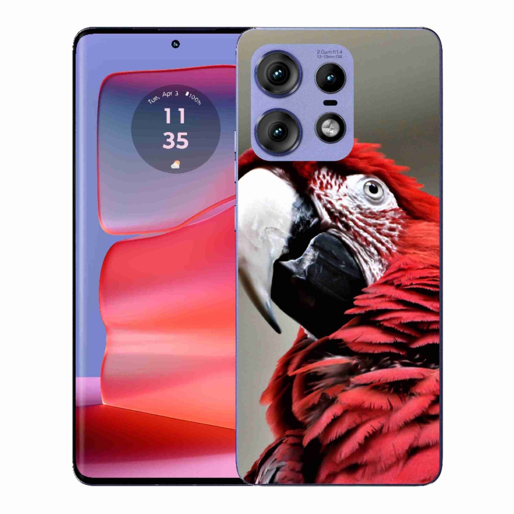 Zselés borítás mmCase a Motorola Edge 50 Pro készülékhez - papagáj ara piros