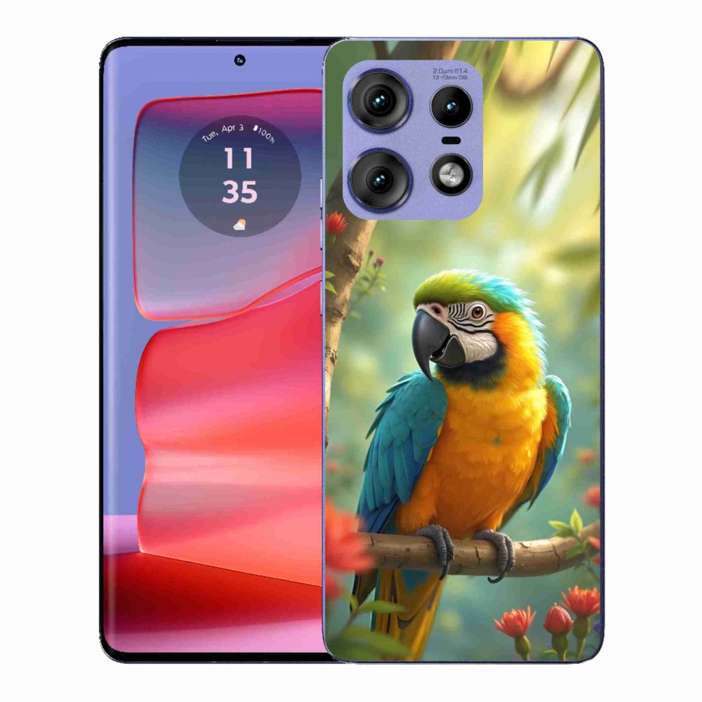 Zselés borítás mmCase Motorola Edge 50 Pro készülékhez - papagáj ara kék és sárga