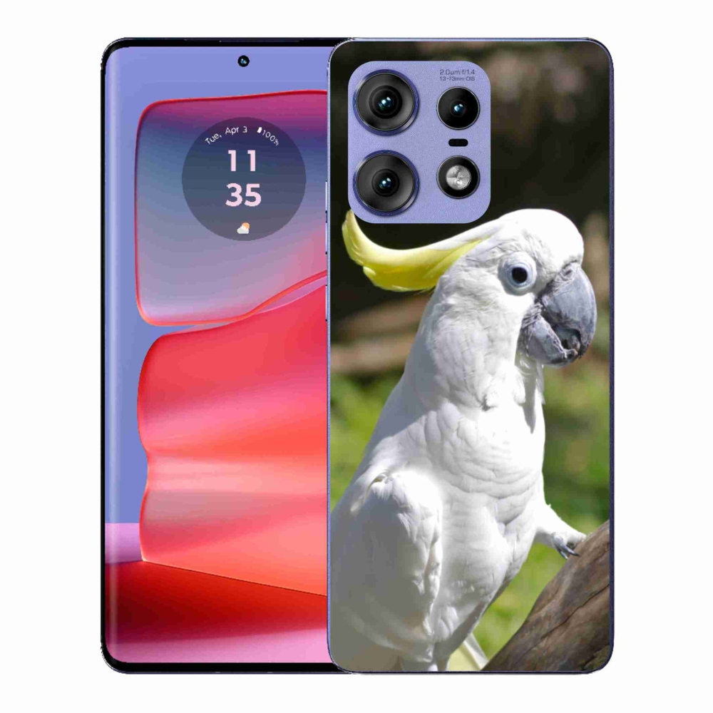 Zselés borítás mmCase a Motorola Edge 50 Pro készülékhez - papagáj kakadu 2