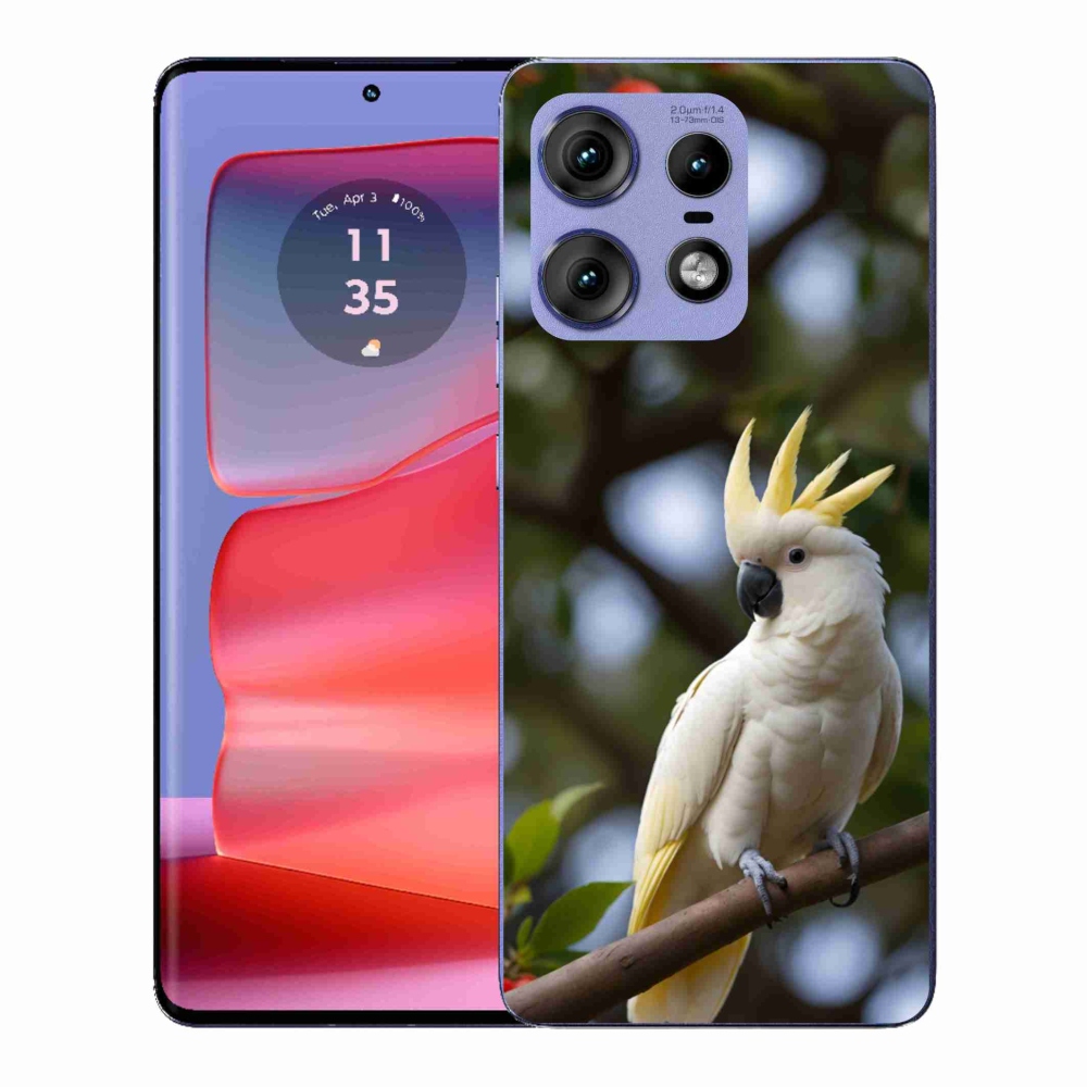 Zselés borítás mmCase a Motorola Edge 50 Pro készülékhez - papagáj kakadu 3