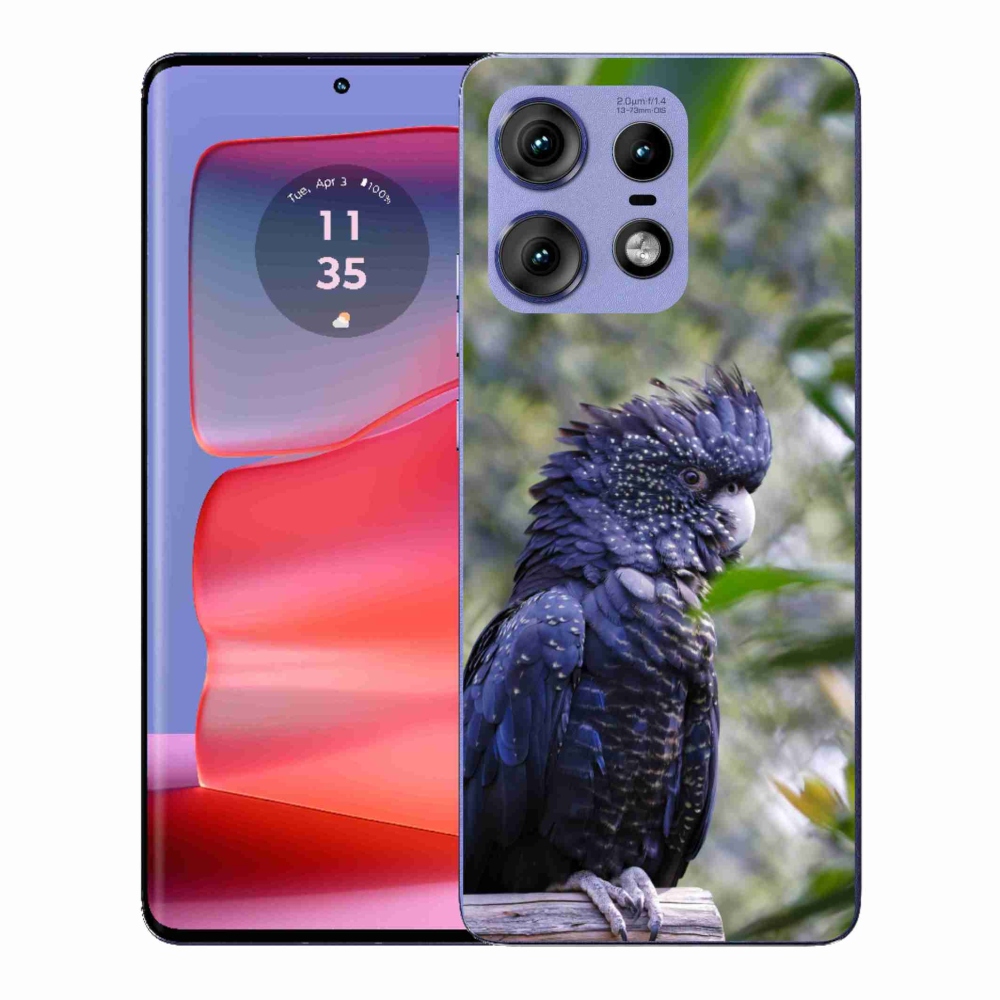 Zselés borítás mmCase a Motorola Edge 50 Pro készülékhez - papagáj kakadu fekete