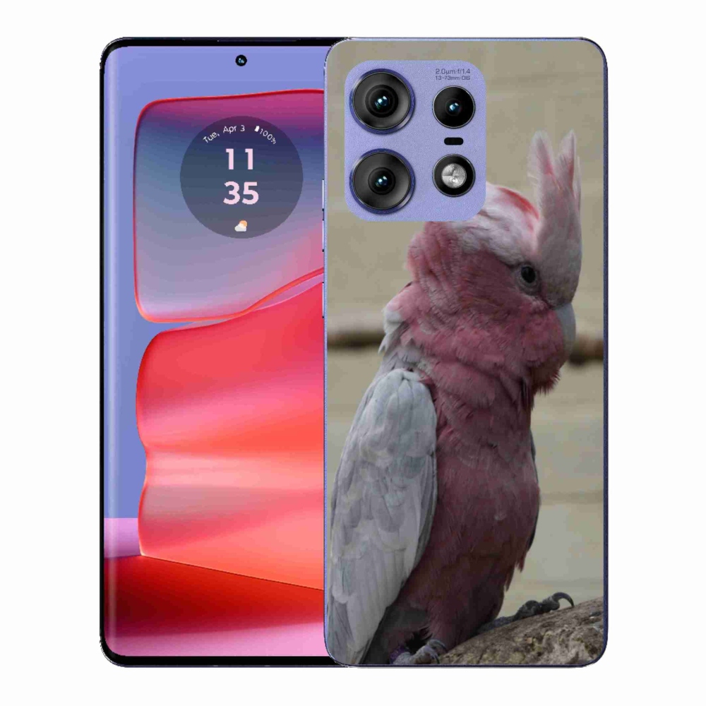 Zselés borítás mmCase a Motorola Edge 50 Pro készülékhez - papagáj kakadu rózsaszínű
