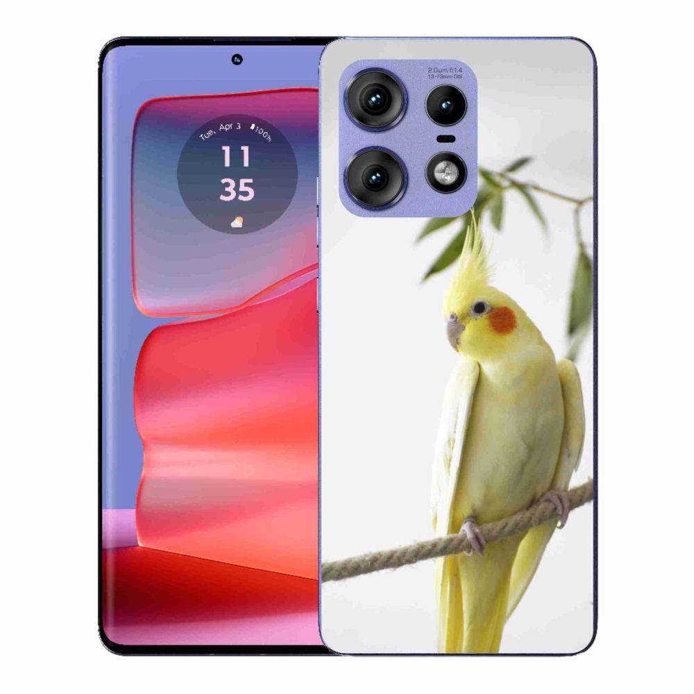 Zselés borítás mmCase Motorola Edge 50 Pro - papagáj korela chocholatá