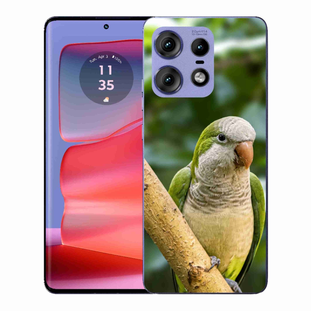 Zselés borítás mmCase a Motorola Edge 50 Pro készülékhez - papagáj