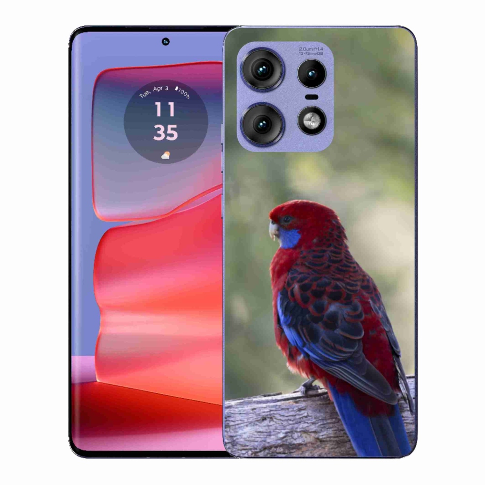 Zselés borítás mmCase a Motorola Edge 50 Pro készülékhez - papagáj rosela
