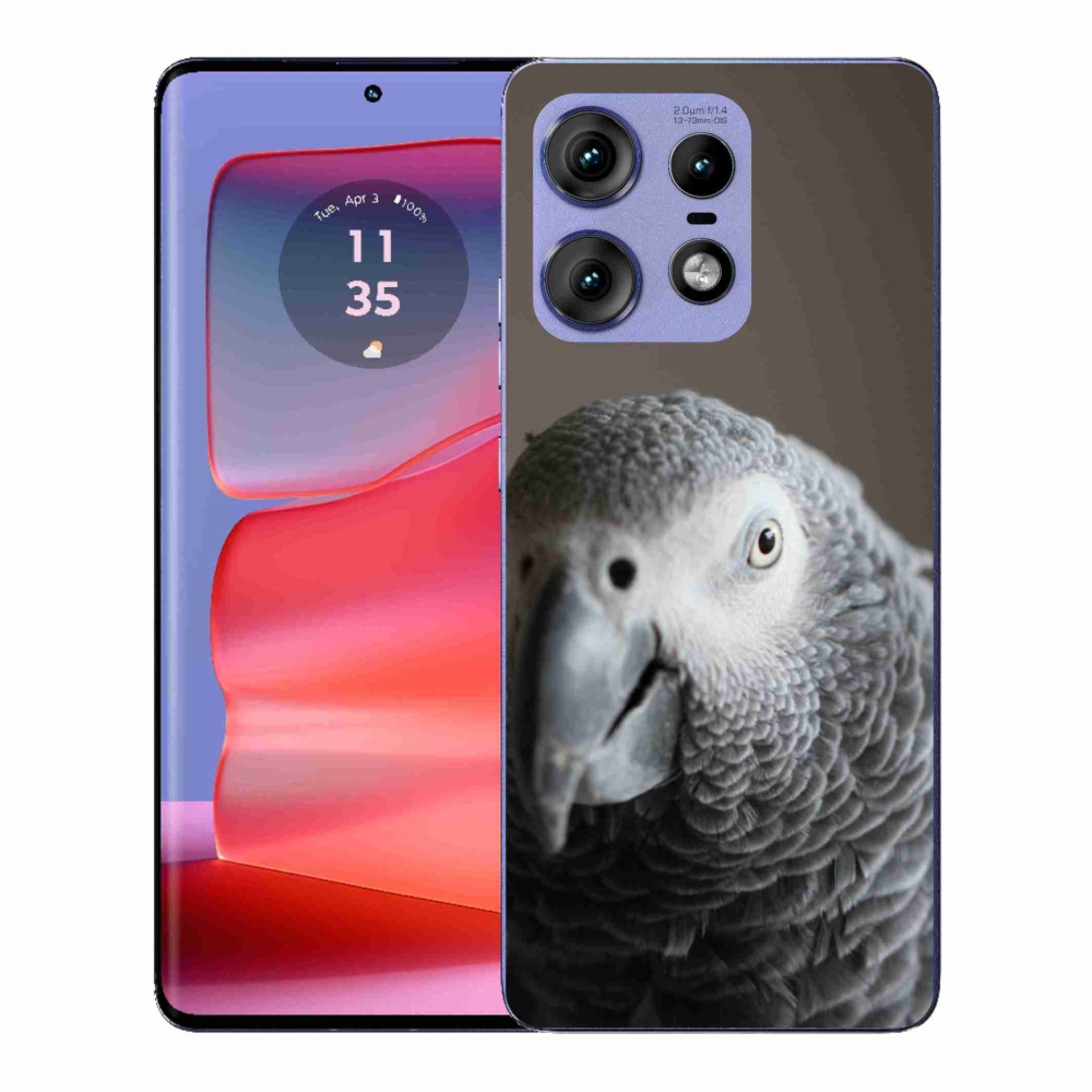 Zselés borítás mmCase a Motorola Edge 50 Pro készülékhez - parrot jacko 2