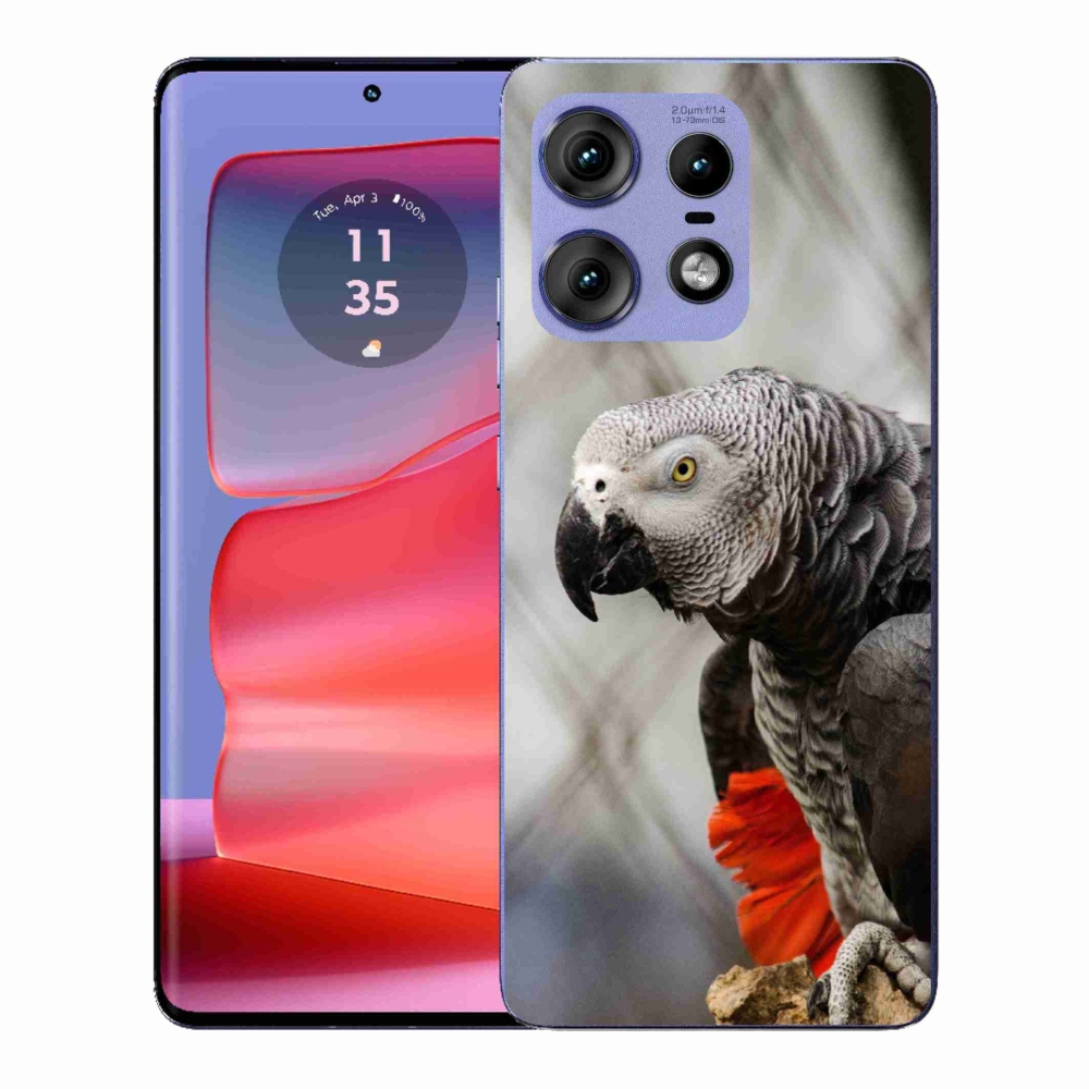 Zselés borítás mmCase a Motorola Edge 50 Pro készülékhez - parrot jacko 3