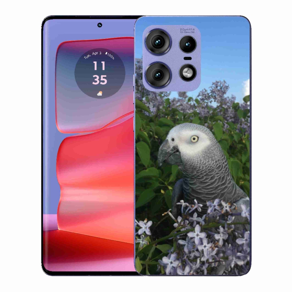 Zselés borítás mmCase a Motorola Edge 50 Pro készülékhez - papagáj