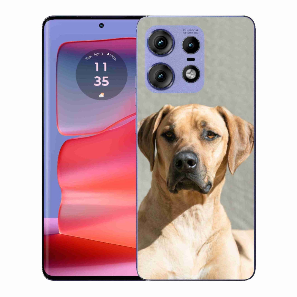 Zselés borítás mmCase a Motorola Edge 50 Pro készülékhez - ridgeback