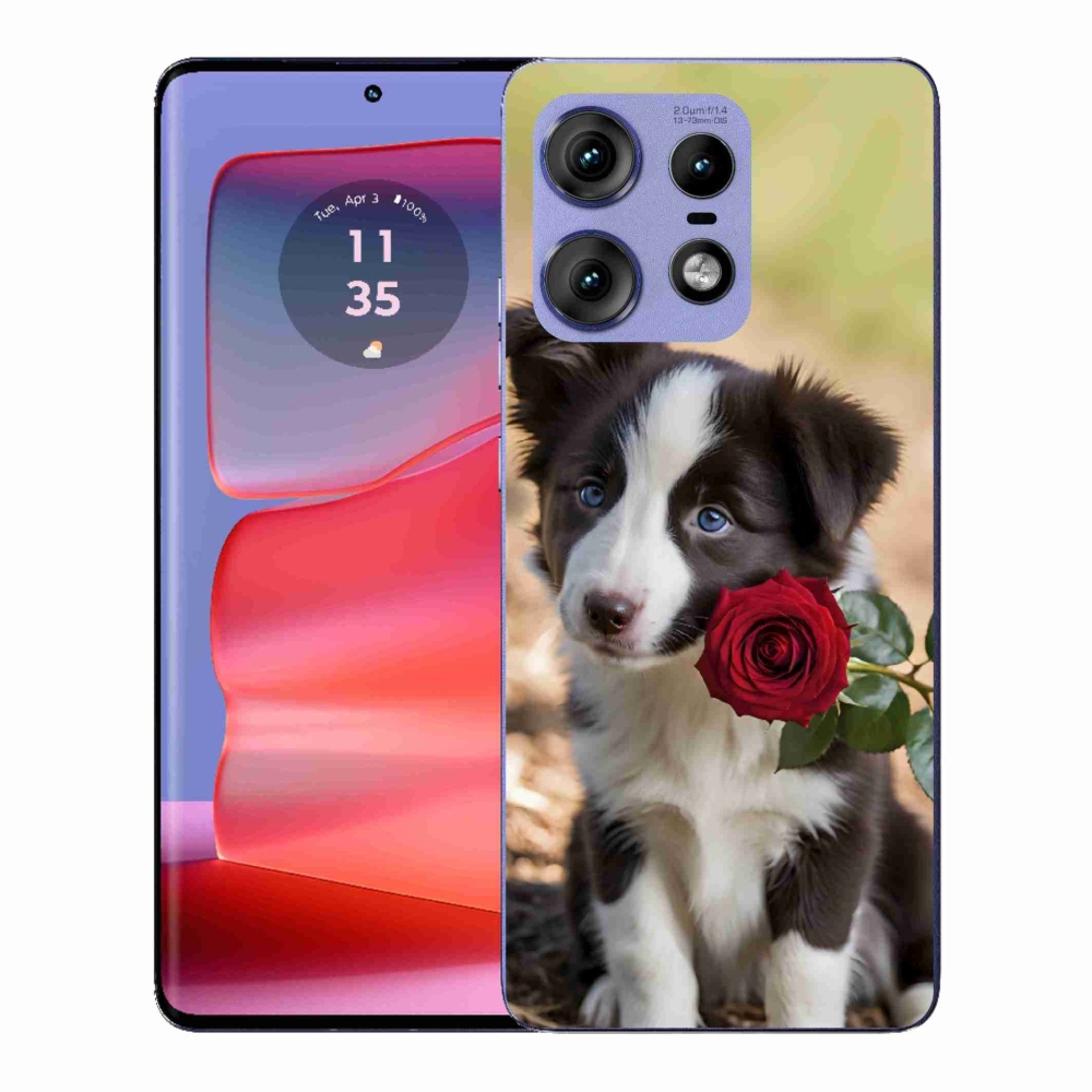Zselés borítás mmCase a Motorola Edge 50 Pro készülékhez - aranyos border collie rózsával
